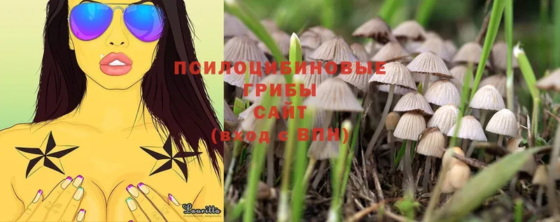 Псилоцибиновые грибы MAGIC MUSHROOMS  Воркута 